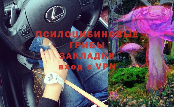 эйфоретик Новокубанск